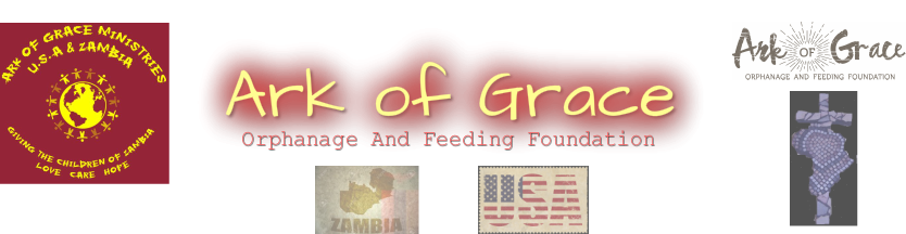 Ark of Grace Orphanageand Feeding Foundation